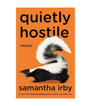 Quietly Hostile: Essays