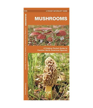 Mushrooms: A Folding Pocket Guide to Familiar North American Species (Wildlife and Nature Identification)