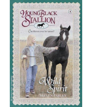 Wild Spirit (Black Stallion)