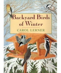 Backyard Birds of Winter