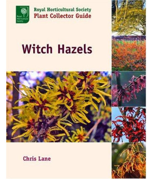 Witch Hazels (ROYAL HORTICULTURAL SOCIETY PLANT COLLECTOR GUIDE)