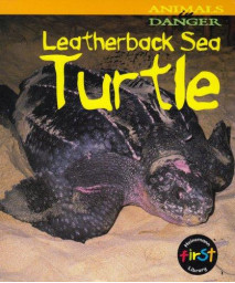 Leatherback Sea Turtle (Animals In Danger)