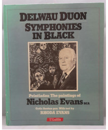 Symphonies in Black: The Paintings of Nicholas Evans (Irish and English Edition)