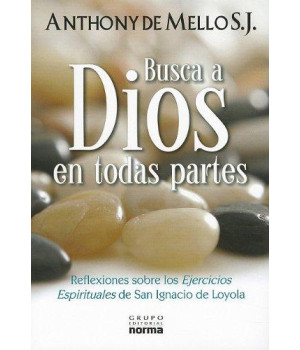 Busca a Dios en todas partes (Spanish Edition)