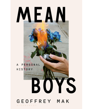 Mean Boys: A Personal History