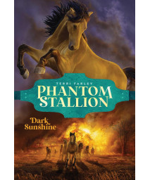 Dark Sunshine (Phantom Stallion)