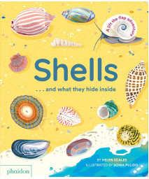 Shells... And What They Hide Inside: A Lift-The-Flap Adventure