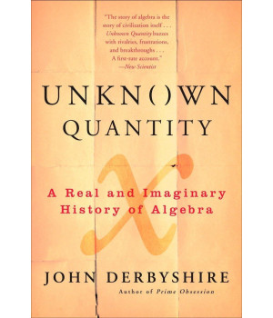 Unknown Quantity: A Real and Imaginary History of Algebra