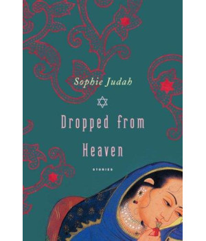 Dropped from Heaven: Stories