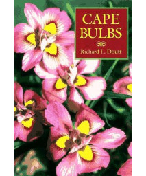 Cape Bulbs