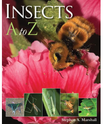Insects A to Z (A to Z (Firefly Books))