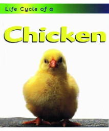 Chicken (Life Cycle of A)