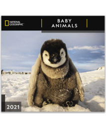 National Geographic Baby Animals 2021 Wall Calendar