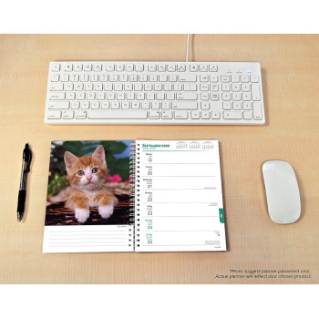 Kittens 2022 6 x 7.75 Inch Spiral-Bound Wire-O Weekly Engagement Planner Calendar New Full-Color Image Every Week Animals Cats Pets