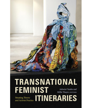 Transnational Feminist Itineraries: Situating Theory and Activist Practice (Next Wave: New Directions in Women's Studies)