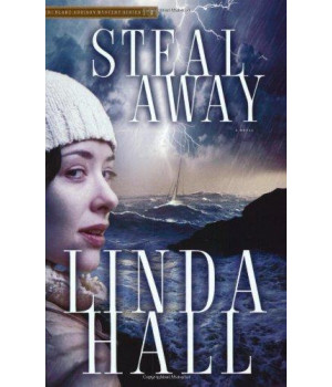 Steal Away (Teri Blake-Addison Mystery Series 1)