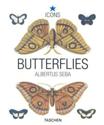 Seba, Butterflies
